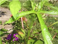 20fba2e8-Picture 012.jpg